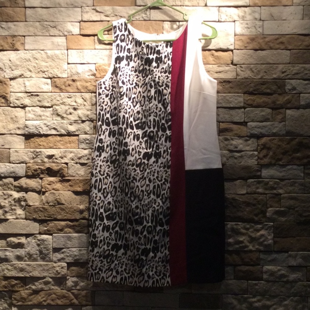 Ann Taylor Dress